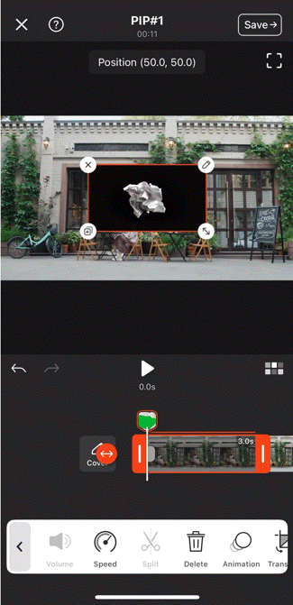 pip03.GIF