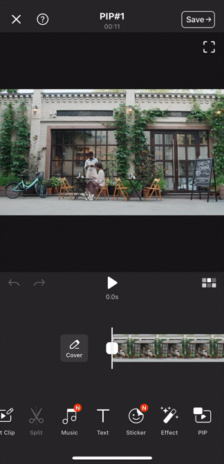 pip02.GIF