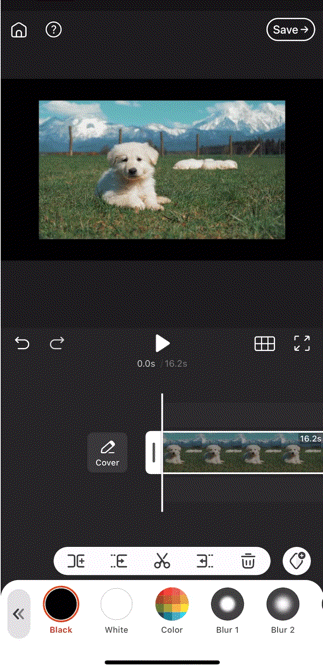mceclip2.gif