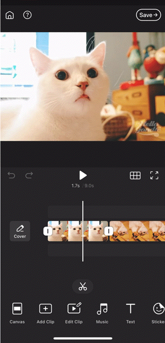 mceclip4.gif