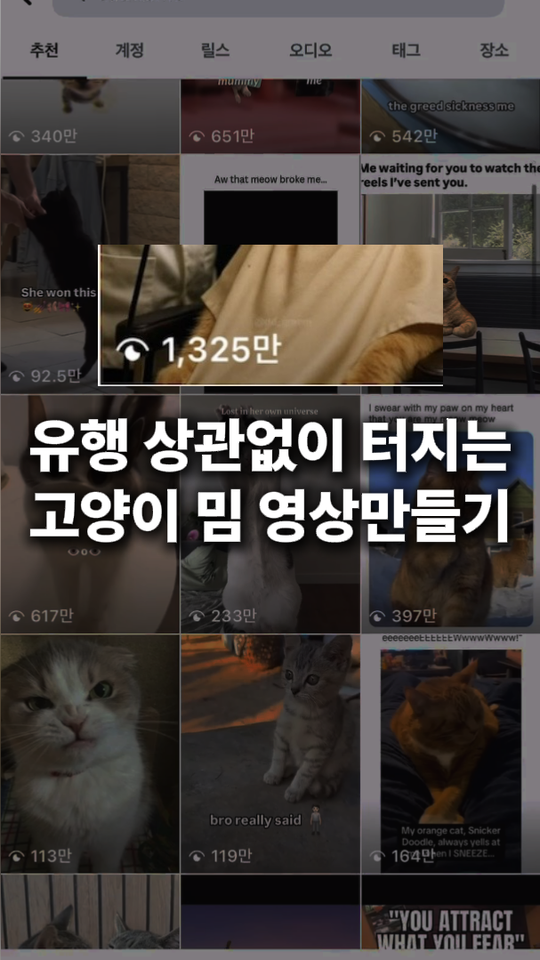 고양이 밈 영상 만들기_두뜬.png