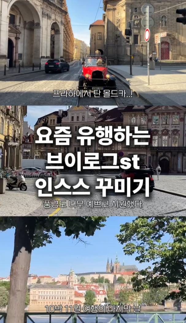 한국_삼분할브이로그_Crop Image.png